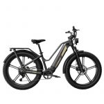 Eléctrica Bicicleta Fiido Titan Cargo 750W 135 km