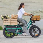 Eléctrica Fiido T2 Bicicleta - Imagen 5