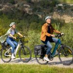 Eléctrica Bicicleta Urbana Fiido C11 250W - Imagen 3