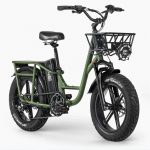 Eléctrica Bicicleta Fiido T1 Pro 923W 150 km